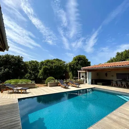 Villa Alivu Belle Piscine Chauffee Bonifacio  Exterior foto
