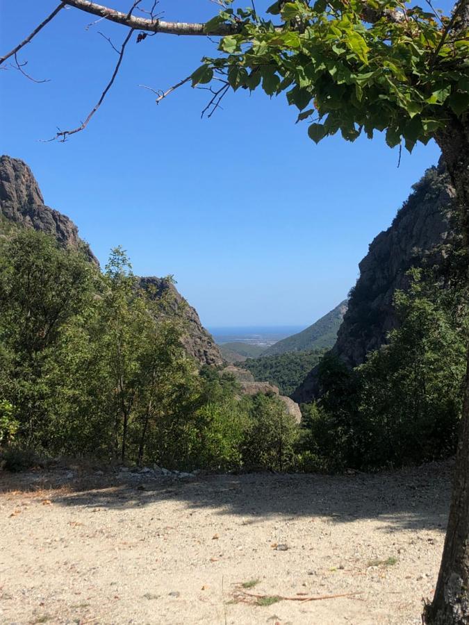 Villa Alivu Belle Piscine Chauffee Bonifacio (Corsica)