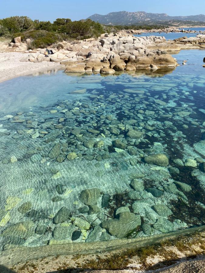 Alivu Belle Piscine Chauffee Villa *