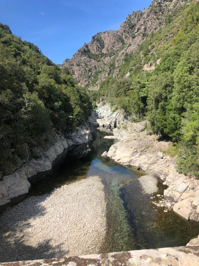 Alivu Belle Piscine Chauffee * Bonifacio (Corsica)