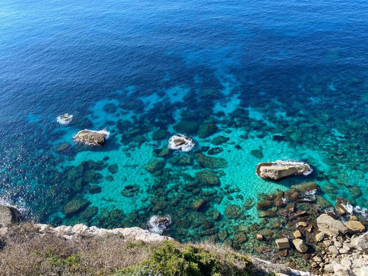 Villa Alivu Belle Piscine Chauffee Bonifacio (Corsica)
