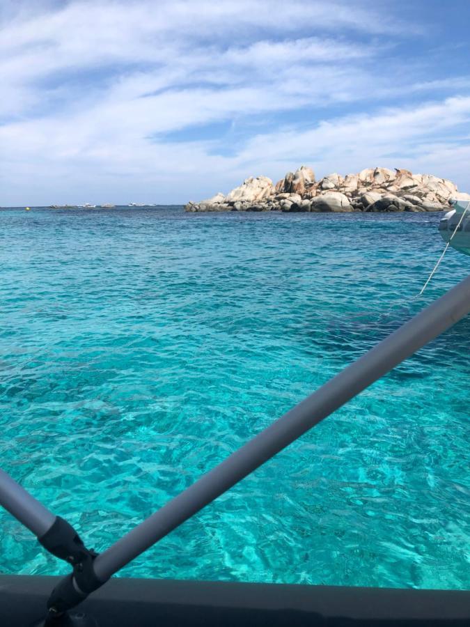 Alivu Belle Piscine Chauffee Bonifacio (Corsica)