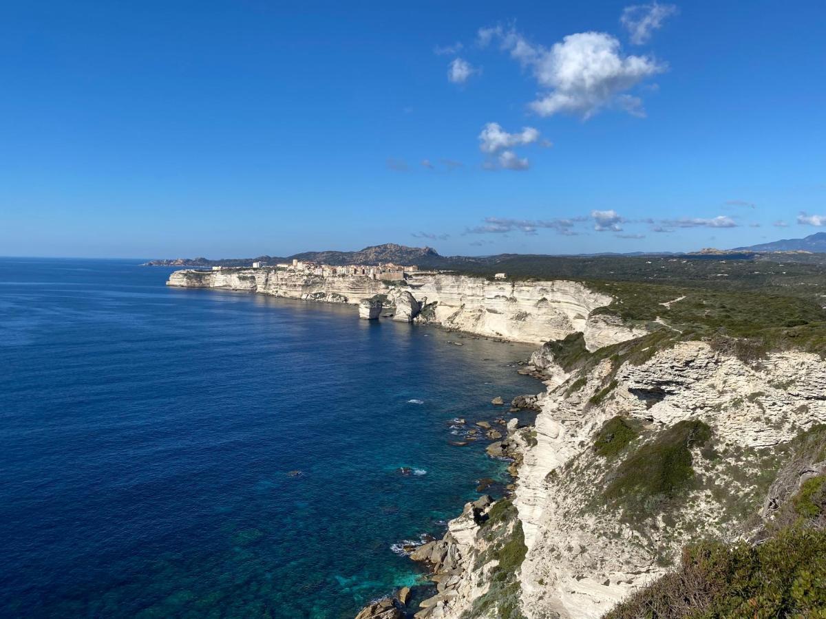 Alivu Belle Piscine Chauffee Bonifacio (Corsica)